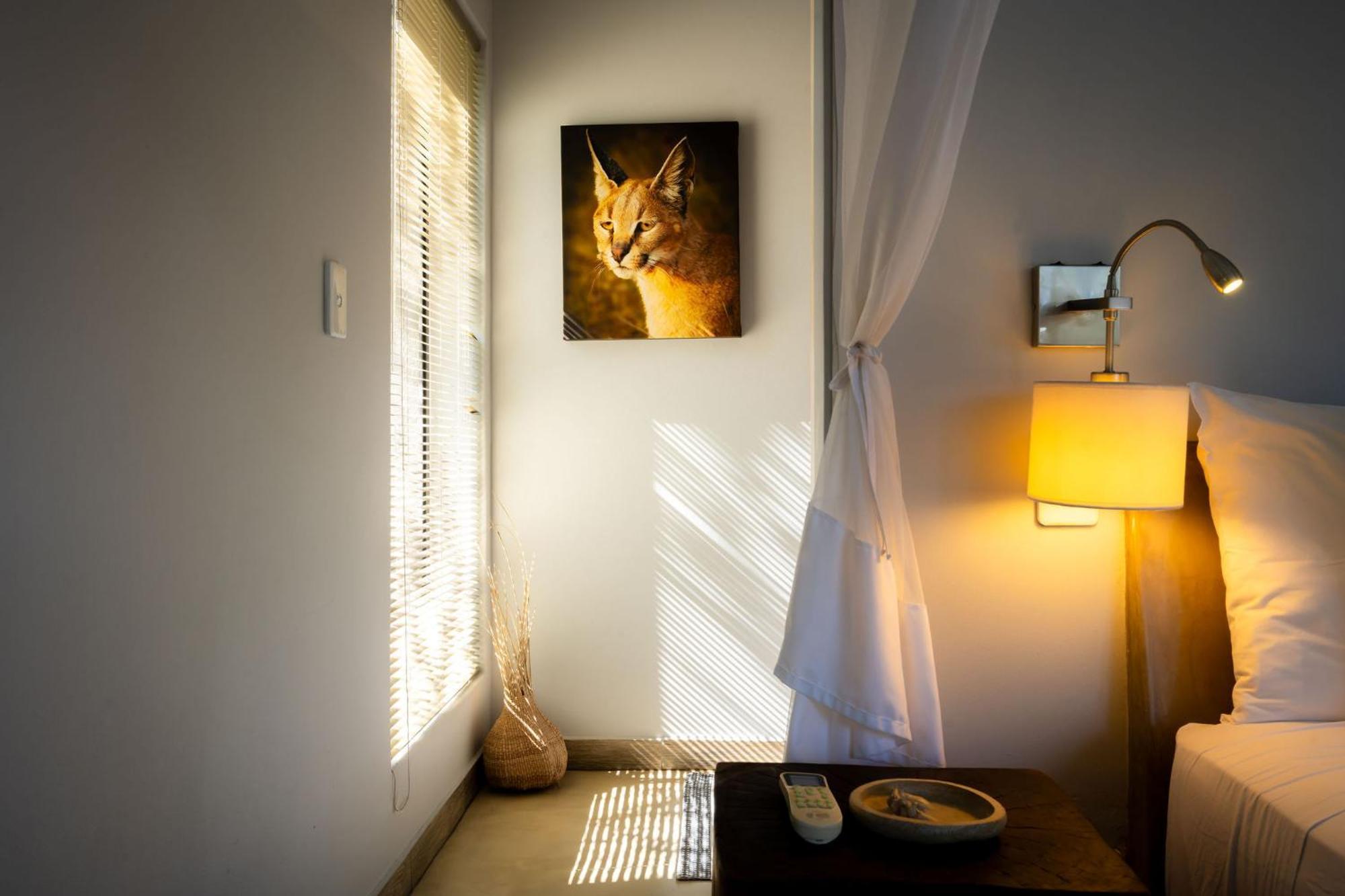 Rafiki Bush Lodge Hoedspruit Buitenkant foto